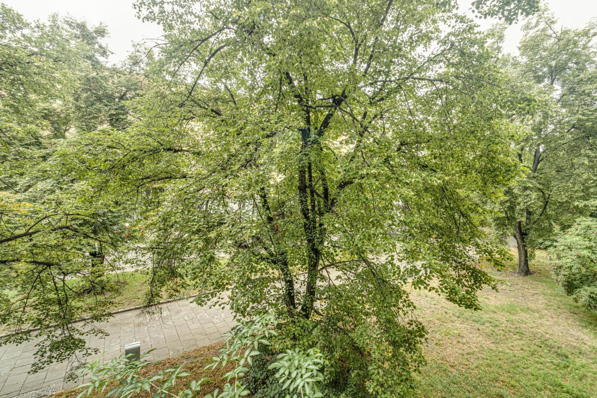 Rentplanet - Apartament Kosciuszki Wrocław Eksteriør bilde