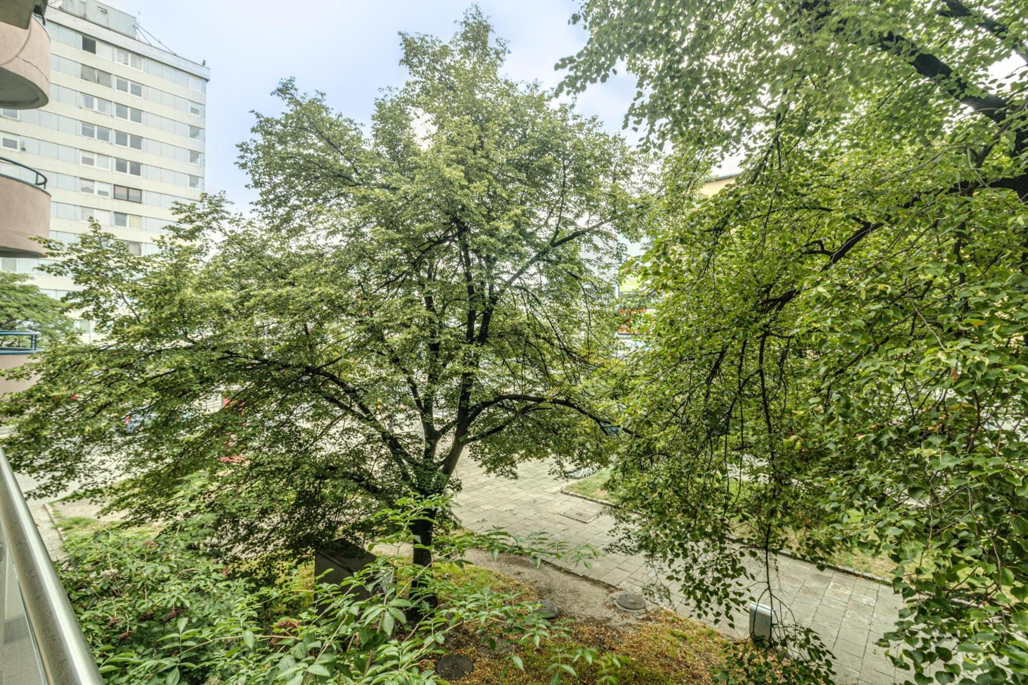 Rentplanet - Apartament Kosciuszki Wrocław Eksteriør bilde
